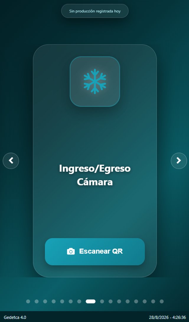 Ingreso / Egreso Cámara